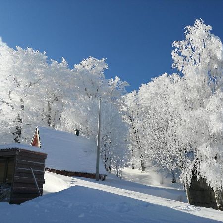 Mountain Village Žabljak Dış mekan fotoğraf