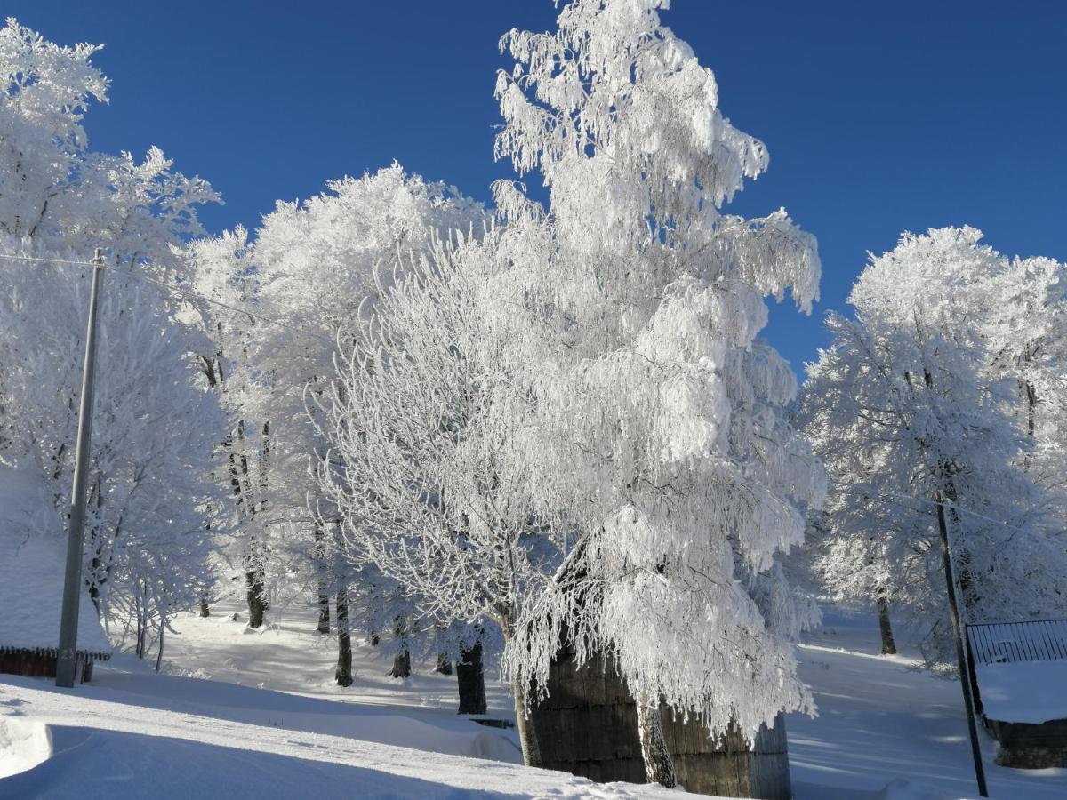 Mountain Village Žabljak Dış mekan fotoğraf